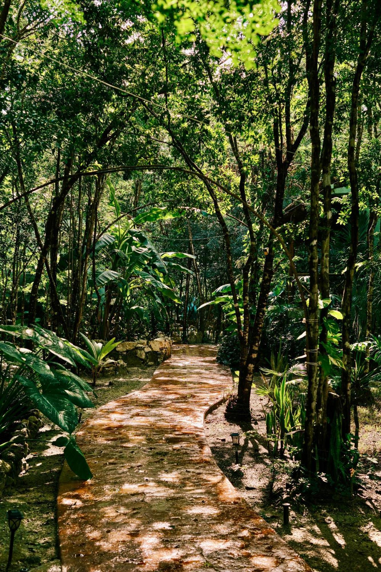 Villas Zamna - Jungle Villas Cozumel Bagian luar foto