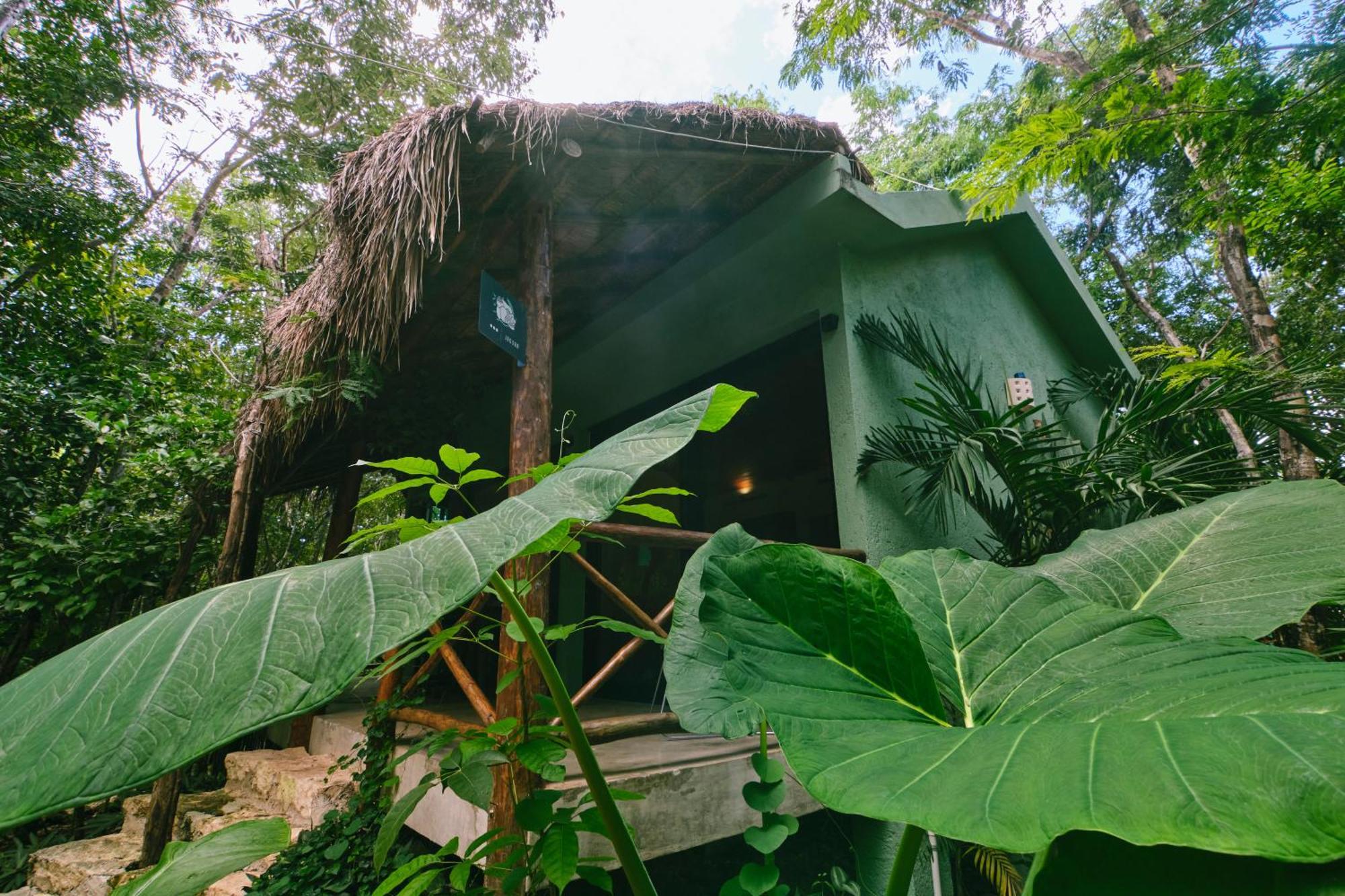 Villas Zamna - Jungle Villas Cozumel Bagian luar foto