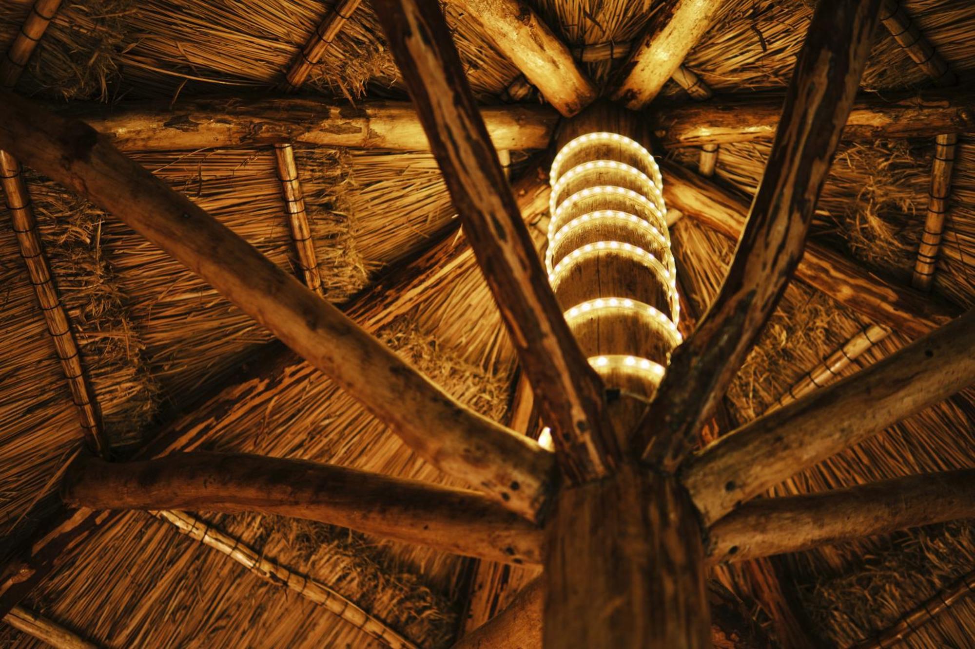 Villas Zamna - Jungle Villas Cozumel Bagian luar foto