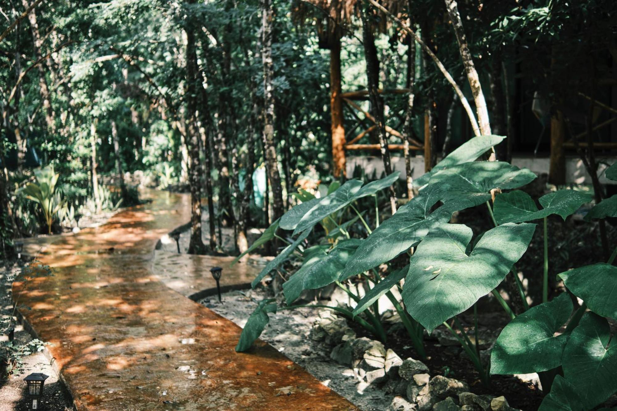 Villas Zamna - Jungle Villas Cozumel Bagian luar foto