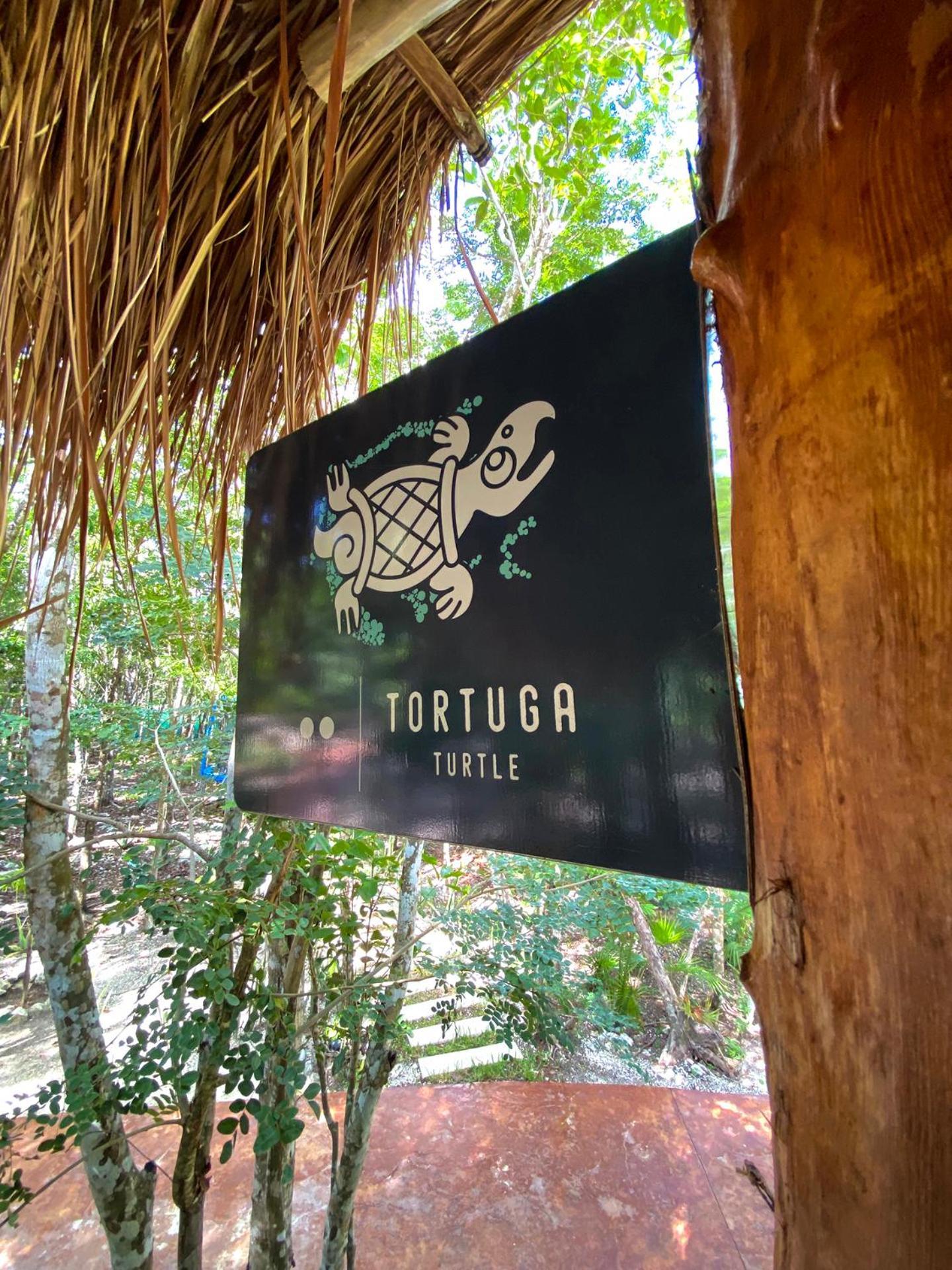 Villas Zamna - Jungle Villas Cozumel Bagian luar foto