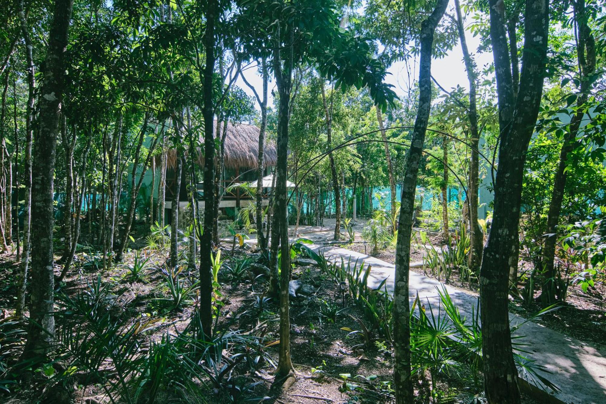 Villas Zamna - Jungle Villas Cozumel Bagian luar foto