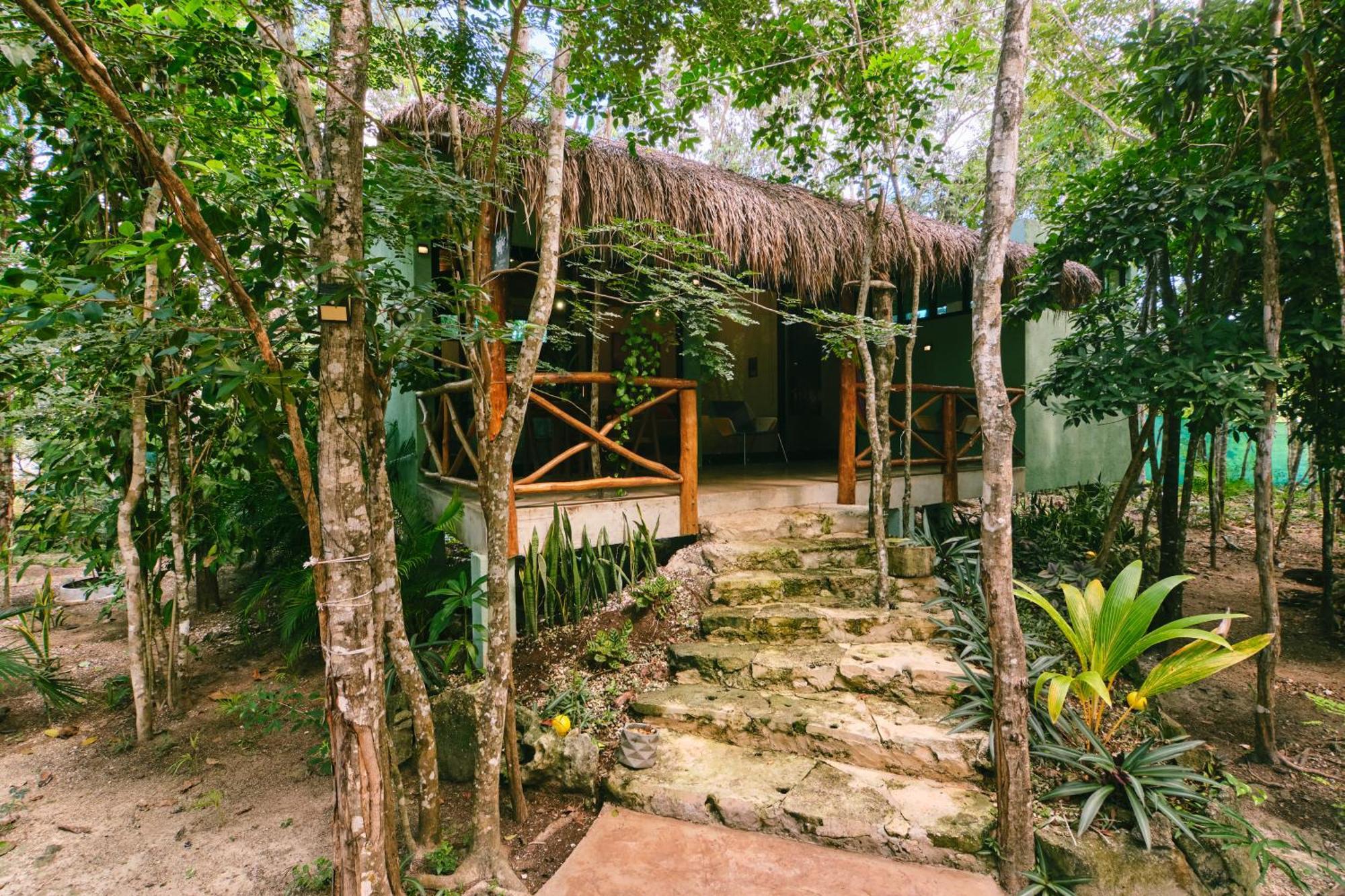 Villas Zamna - Jungle Villas Cozumel Bagian luar foto