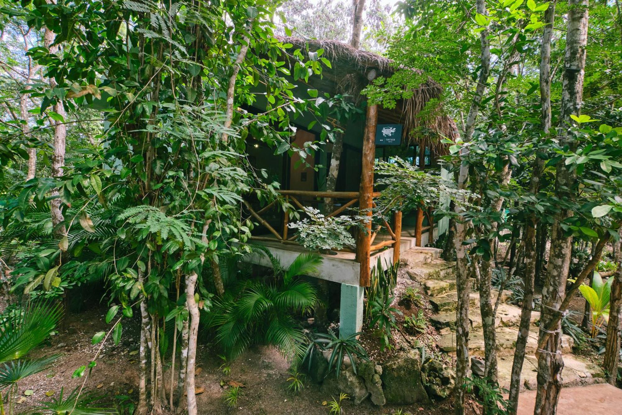 Villas Zamna - Jungle Villas Cozumel Bagian luar foto