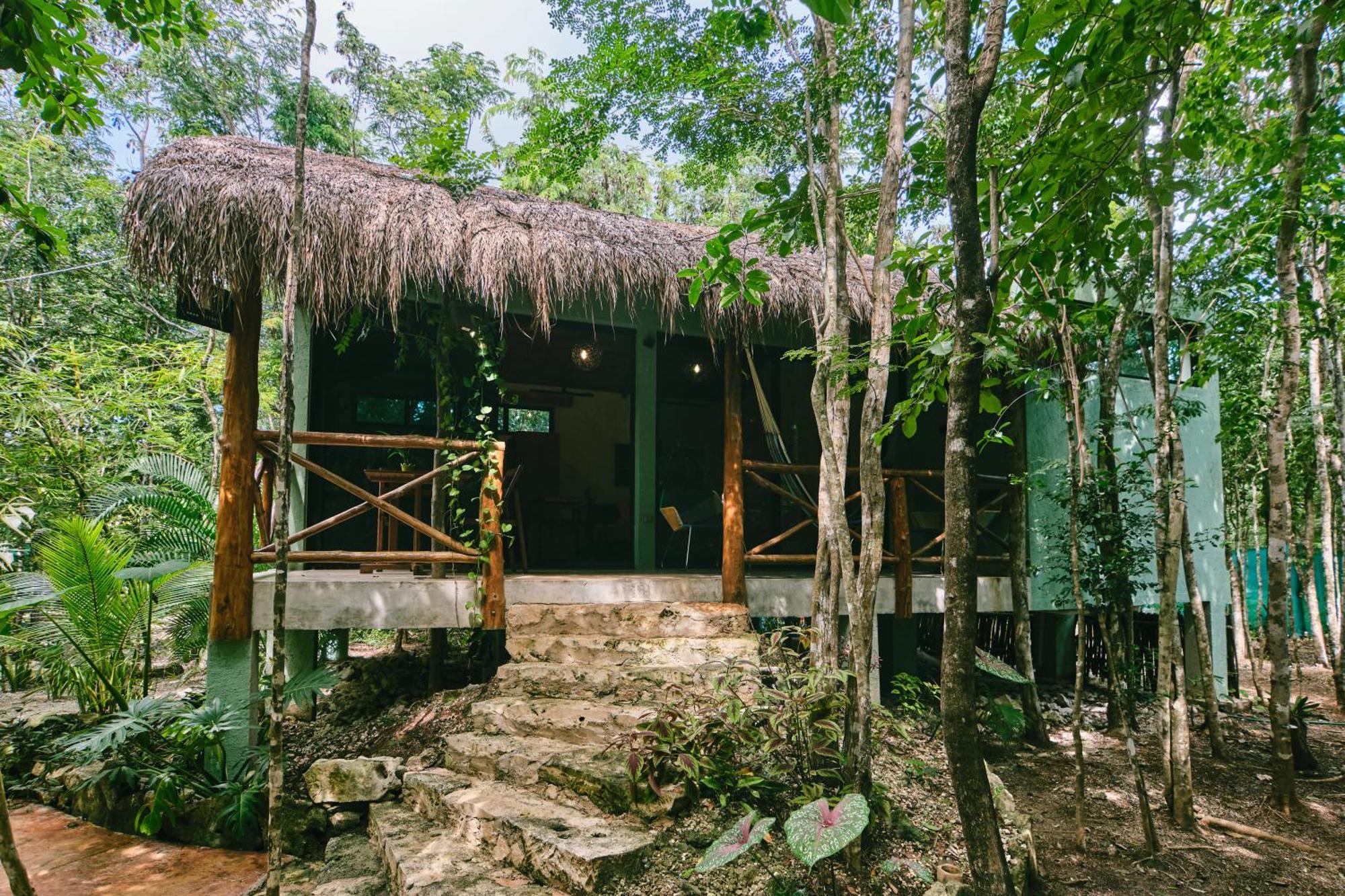 Villas Zamna - Jungle Villas Cozumel Bagian luar foto