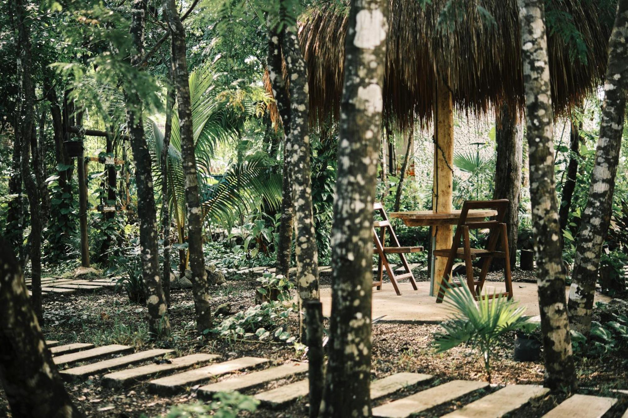 Villas Zamna - Jungle Villas Cozumel Bagian luar foto