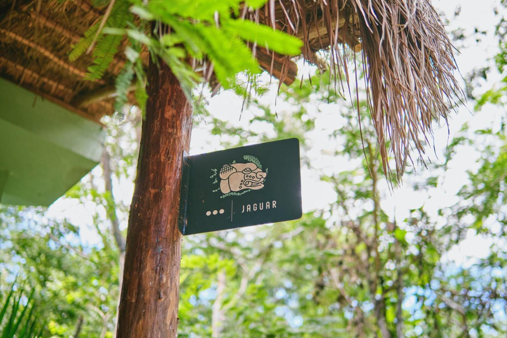 Villas Zamna - Jungle Villas Cozumel Bagian luar foto